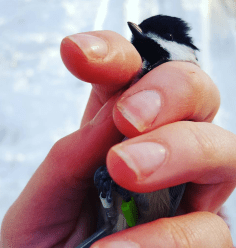 Screen Shot 2017-11-06 at 10.06.46 PM